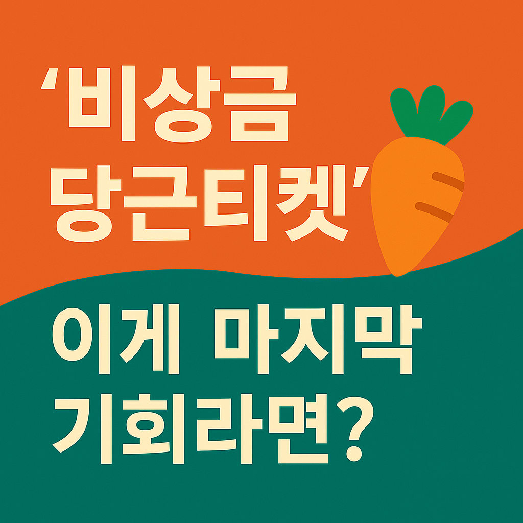 비상금 당근티켓 설명
