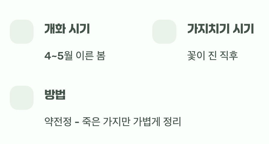 봄의 요정, 작년 가지에서 피는 아이들
