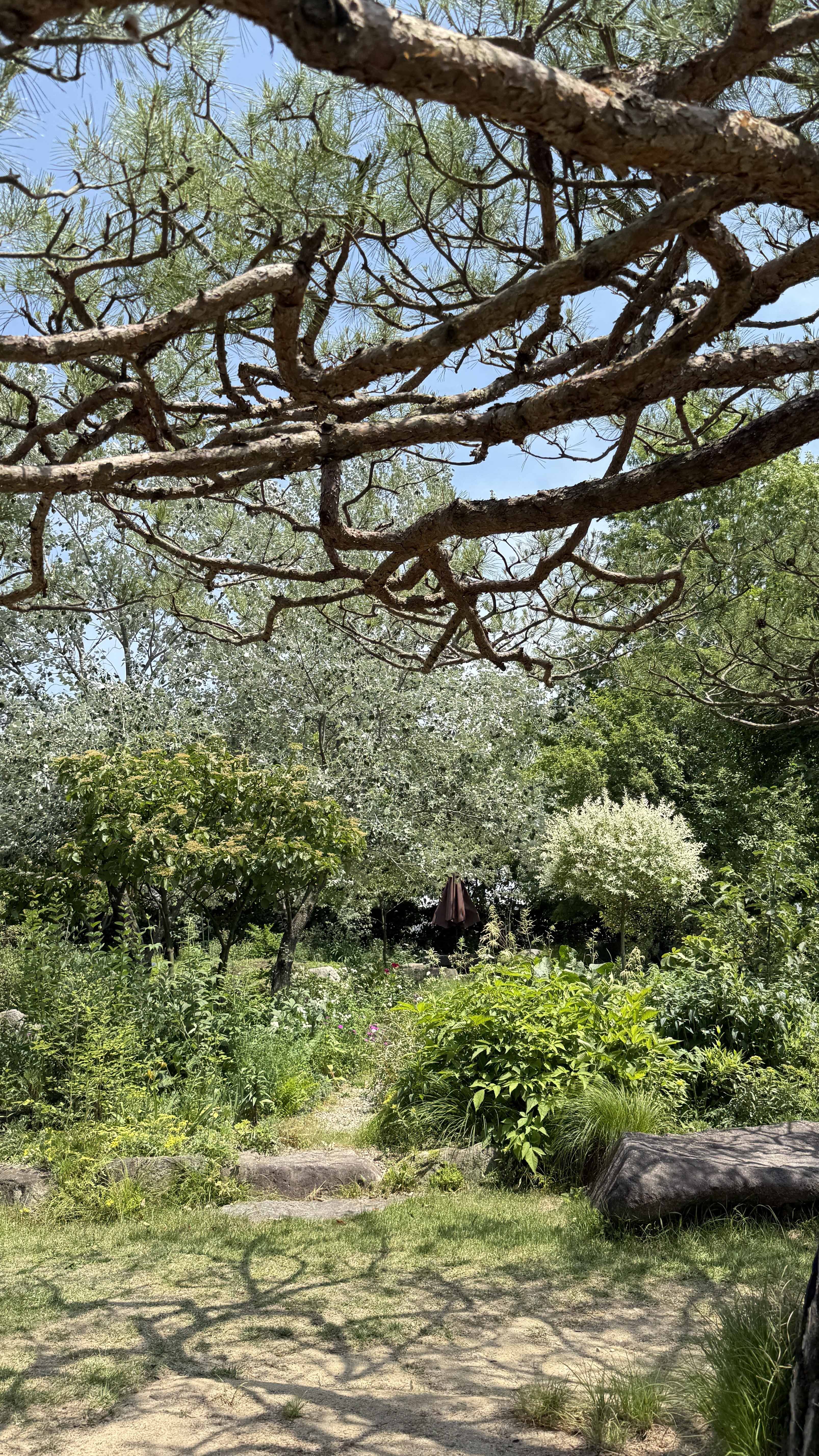 강원도 횡성 맛집_채림의 정원