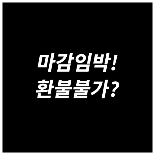 민생지원금 사용기한 임박, 놓치면 환..