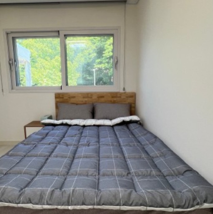 용인/새로운/인기/핫플/용/자작나/숲