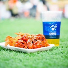 대구치맥페스티벌(이미지출처 : 한국관광공사 홈페이지)