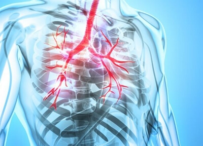 잠복결핵 검사 확인서 인터넷 발급 신청 방법
