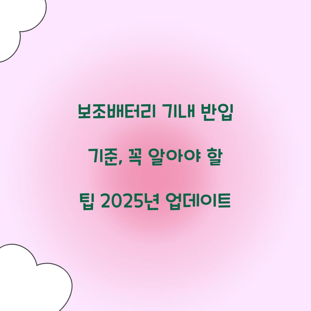 보조배터리 기내 반입 기준