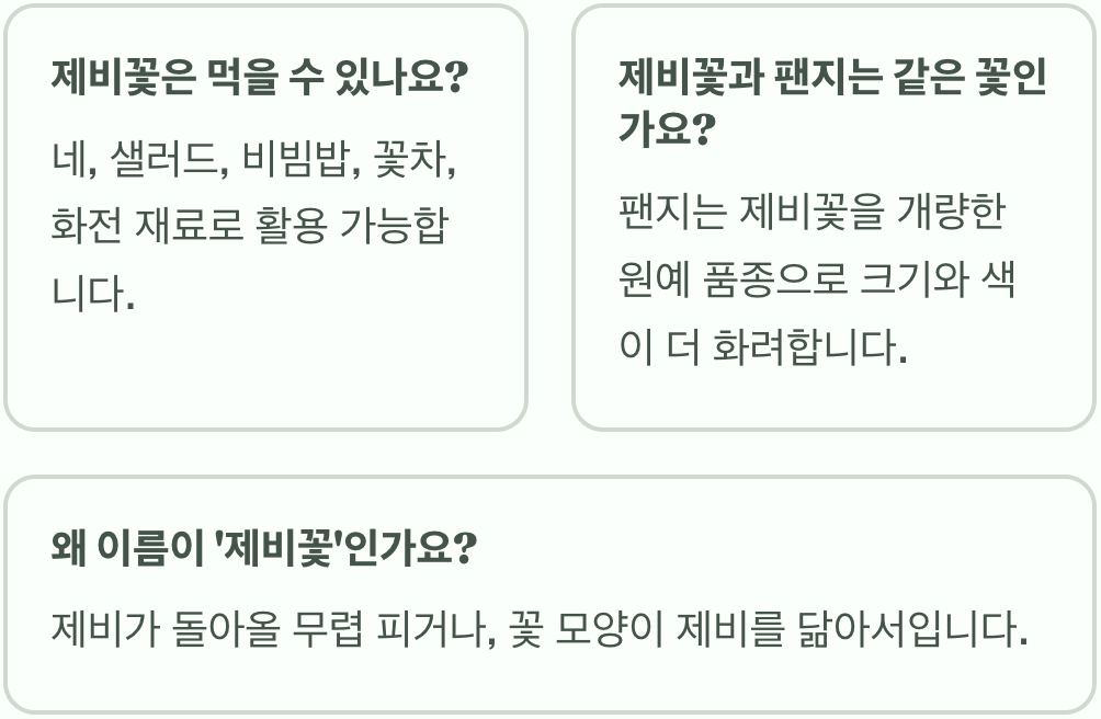 제비꽃 꽃말과 색상별 의미 총정리