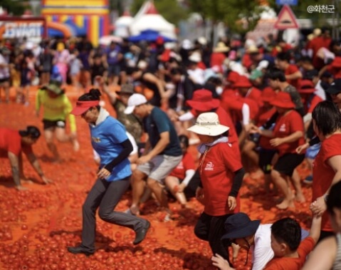 2026 화천 토마토축제