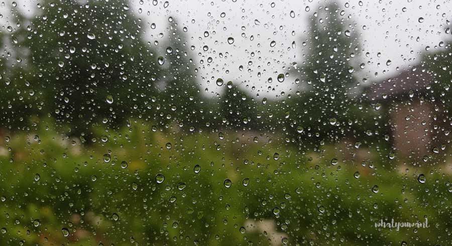 장마철 습도 낮추는 법