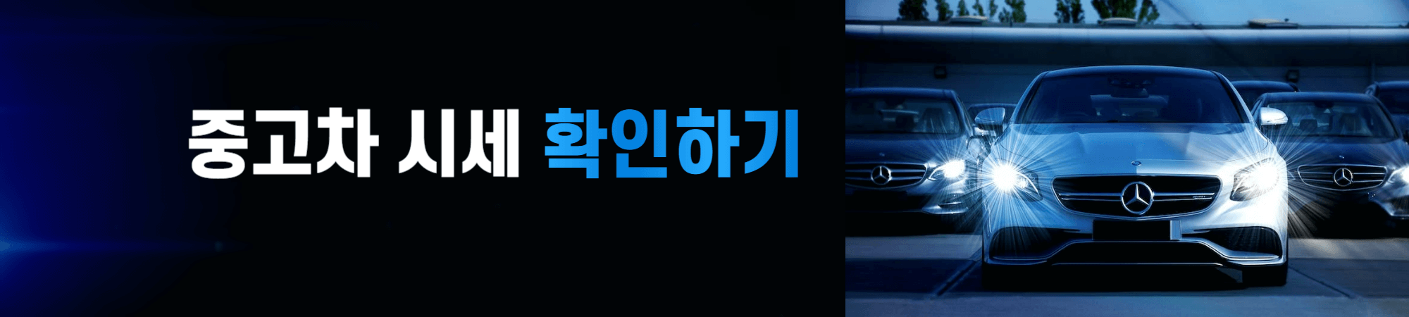 중고차 구매 팁 & 유의사항