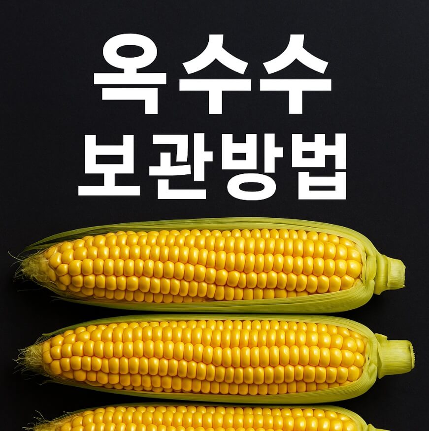 옥수수 보관방법