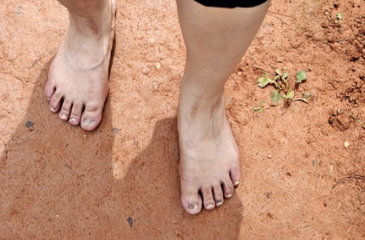 당진 삼선산수목원