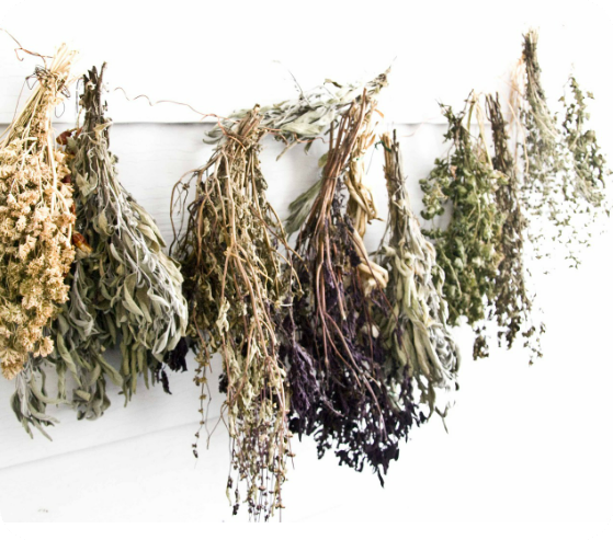 &ldquo;봄엔 역시 나물이지!&rdquo; 그런데, 알고 드시나요?