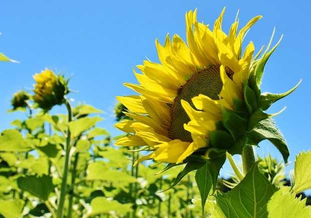 소상공인손실보상