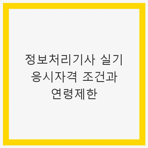 정보처리기사 자격증 개요