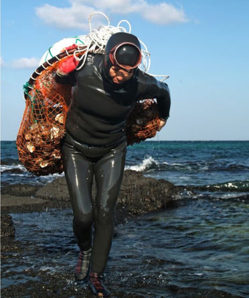 숨비소리의 전설, 제주 해녀문화|유네스코 무형문화유산에 담긴 여성 공동체의 힘