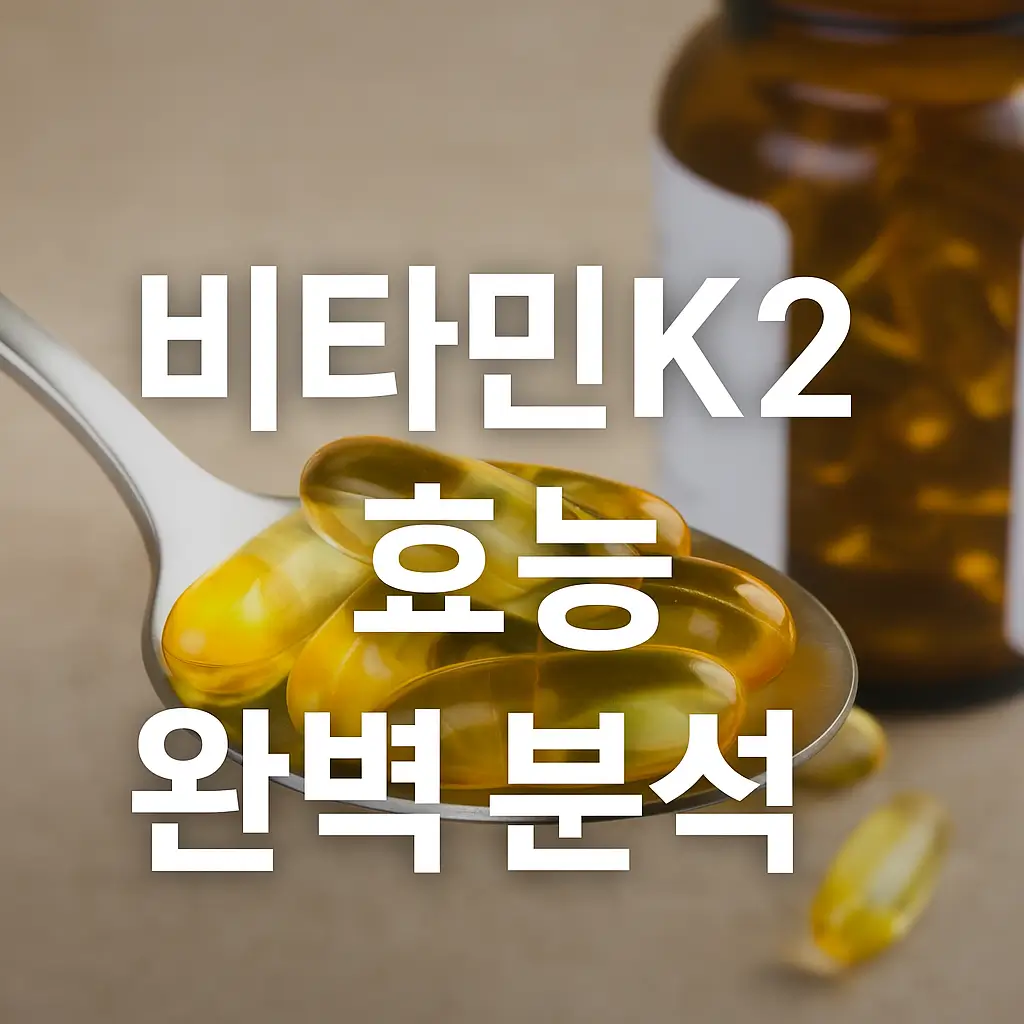 비타민K2 효능