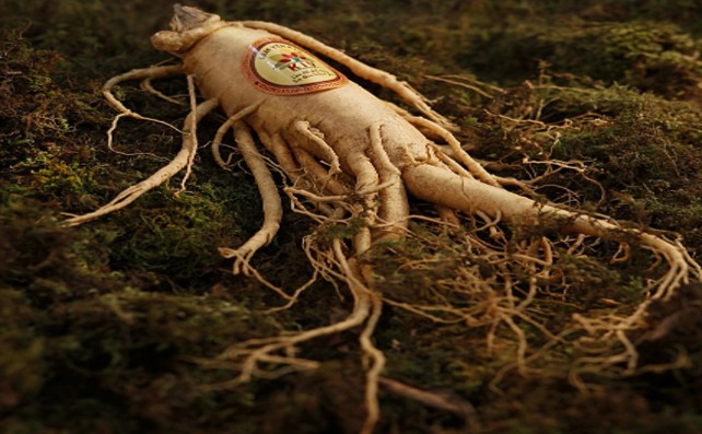 2025 추석 선물세트 인기순위 TOP 10｜올해 가장 잘 팔린 명절 선물 총정리