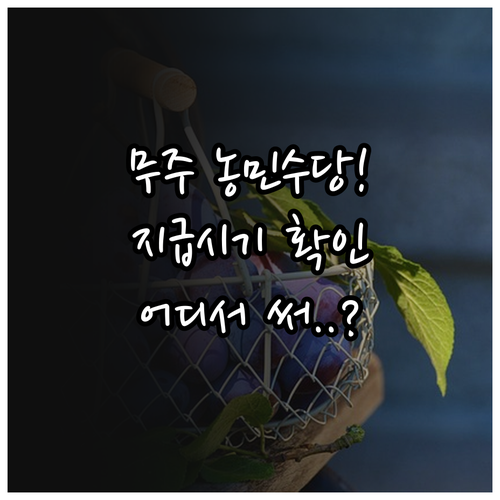 무주군 기본소득 농민수당 지급 시기와..