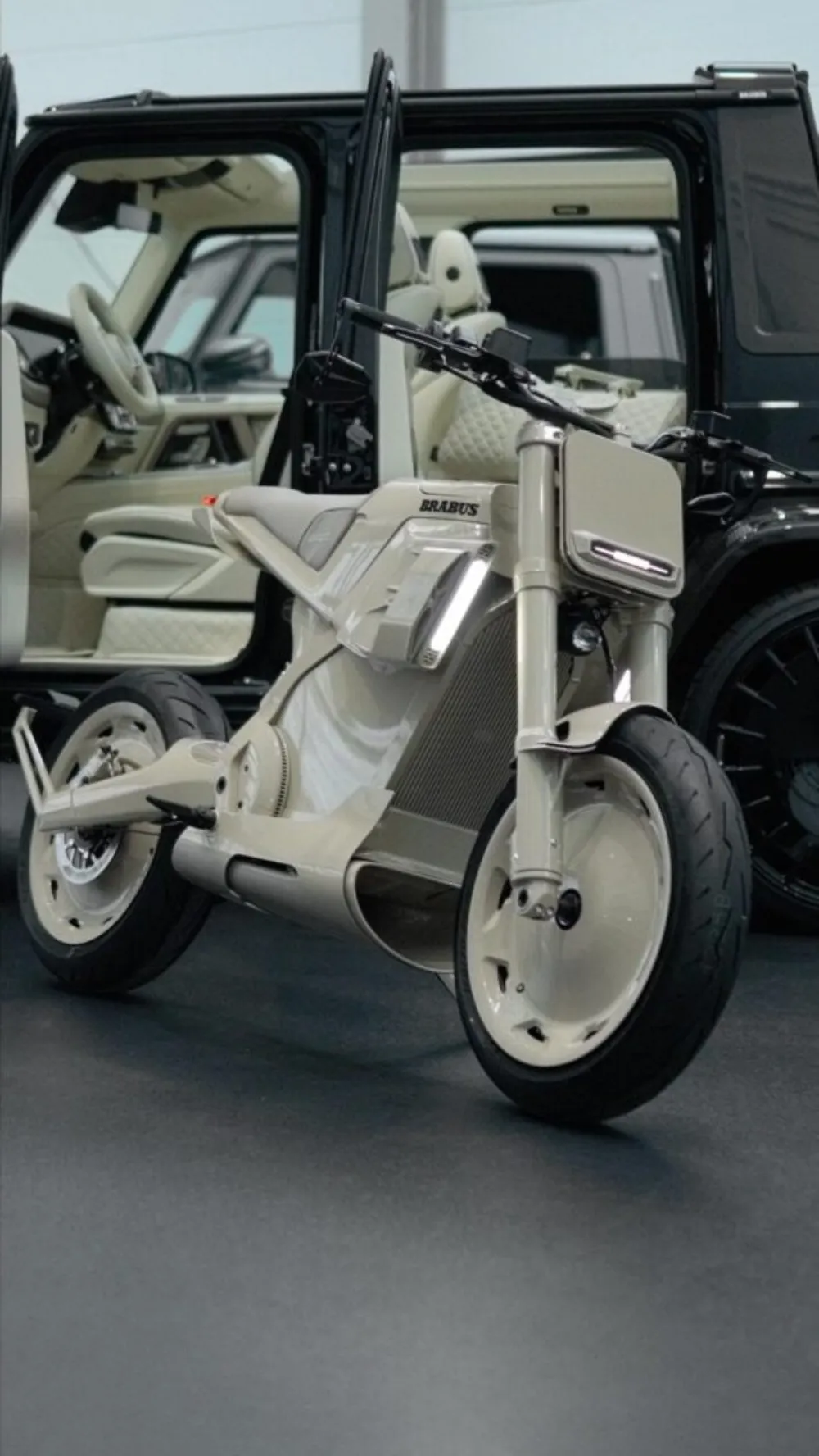 연관된 컬러의 힘으로 더 인상적으로 구성된 라인업