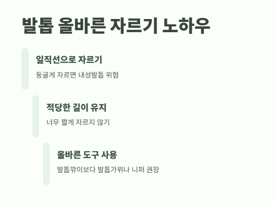 내성발톱 자가치료 완벽 정리 2
