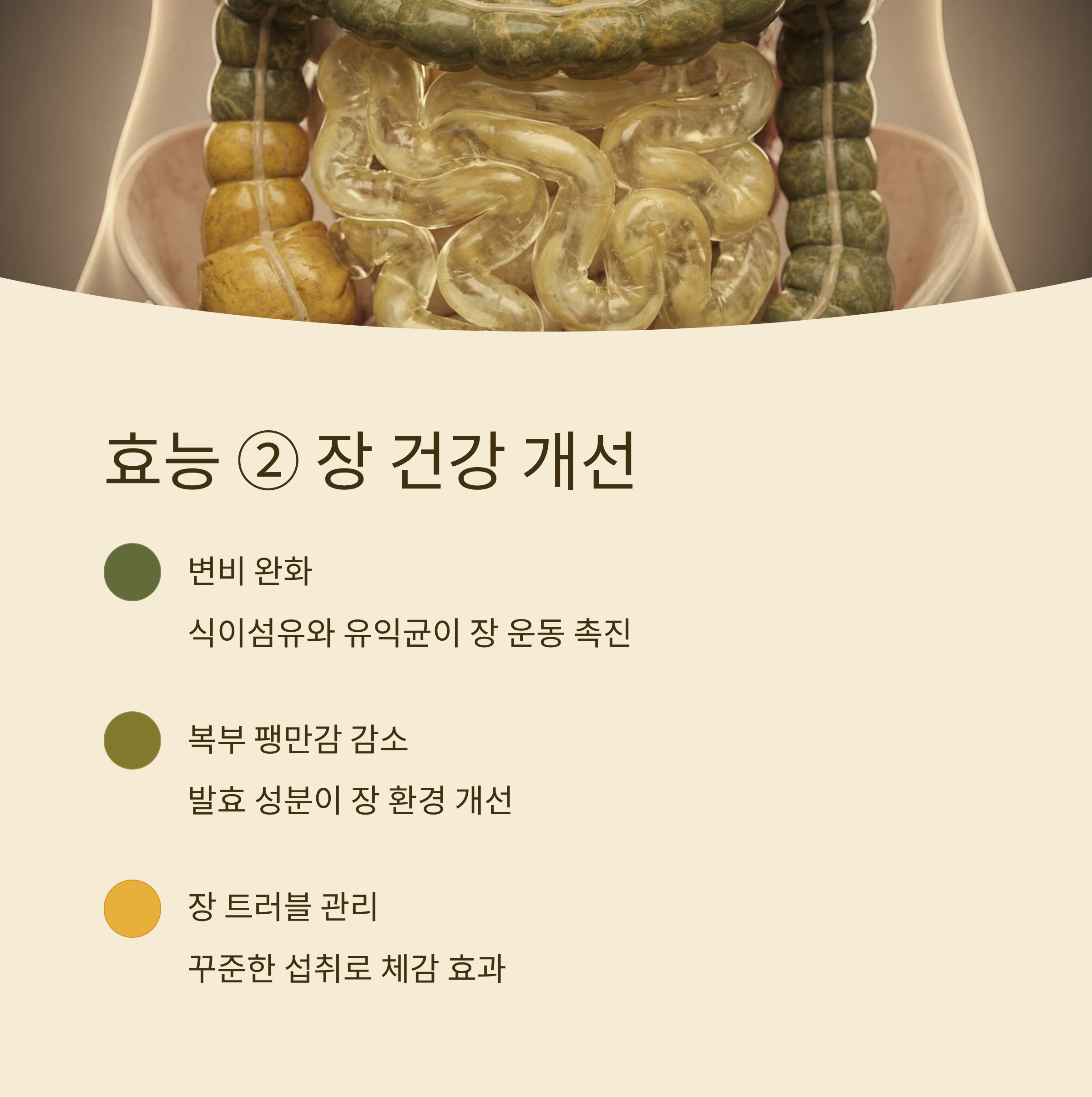 낫또의 효능 장건강 개선