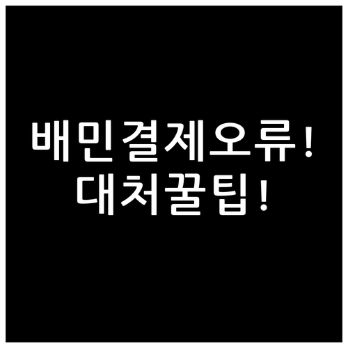 배민 앱 결제 오류 발생시 단계별 대..