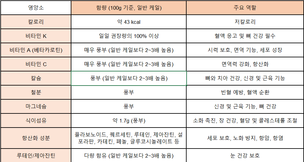 컬리케일 영양성분