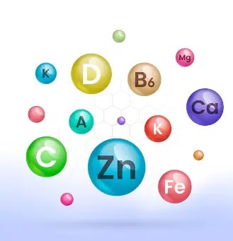 아연 등 영양소
