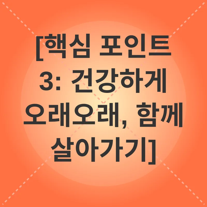 스핑크스 고양이 입양_3