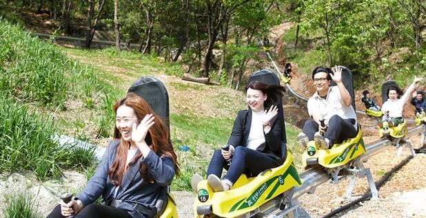 만천하 알파인코스터