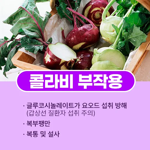 콜라비 부작용