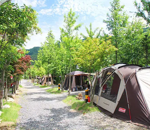 무주수목원캠핑장