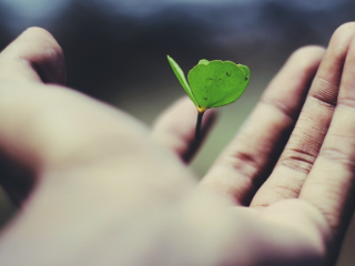 2024 기준 중위소득 6.09% 인상 기초수급자 선정 기준-4