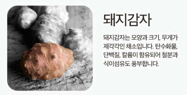돼지 감자
