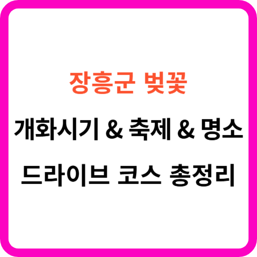 장흥 벚꽃 개화시기 축제 명소 드라이브 코스 가이드