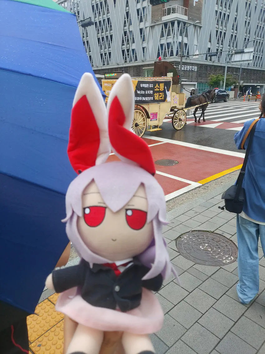 판교 우마무스메 마차 시위 현장