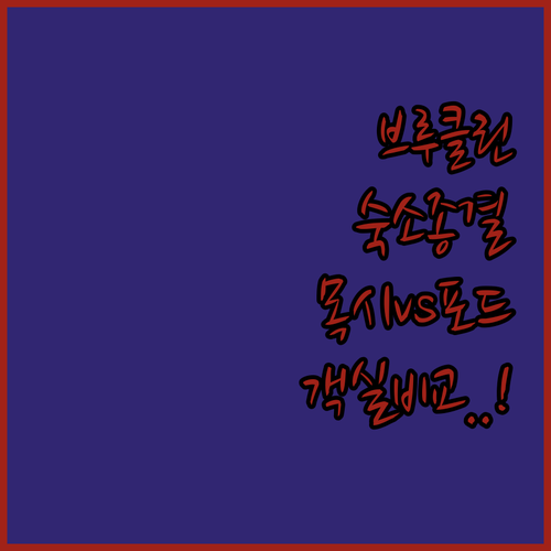 브루클린 윌리엄스버그 목시 호텔 포드..