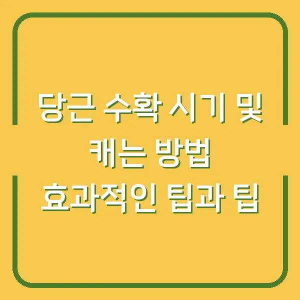 당근 수확 시기 및 캐는 방법 효과적인 팁과 팁