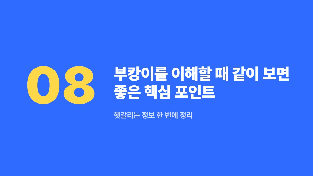 부캉이를 이해할 때 같이 보면 좋은 핵심 포인트 — 헷갈리는 정보 한 번에 정리