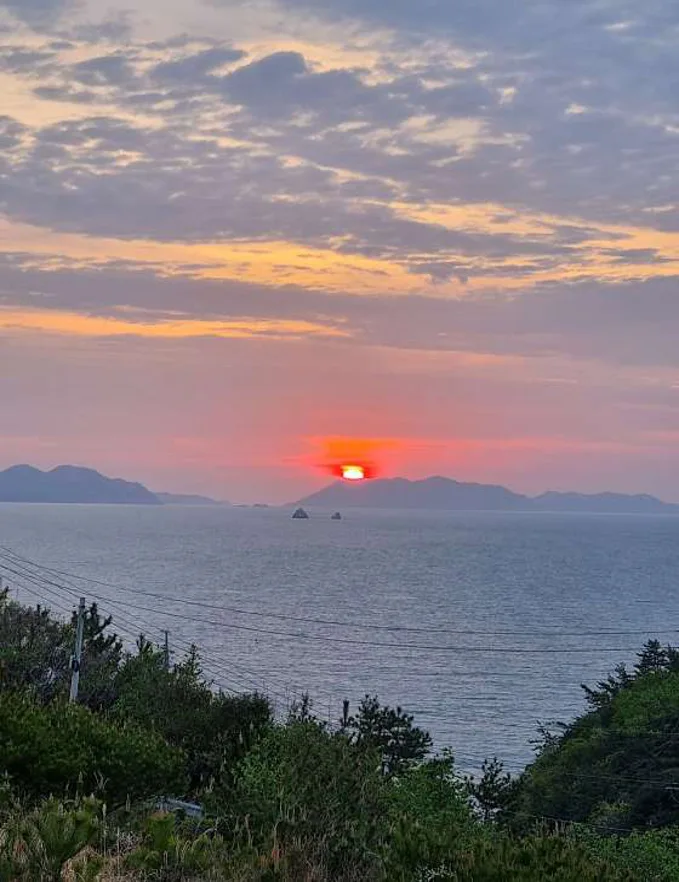 나로리뷰