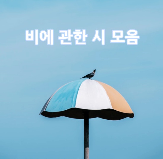 '비에 관한 시 모음' 섬네일 이미지