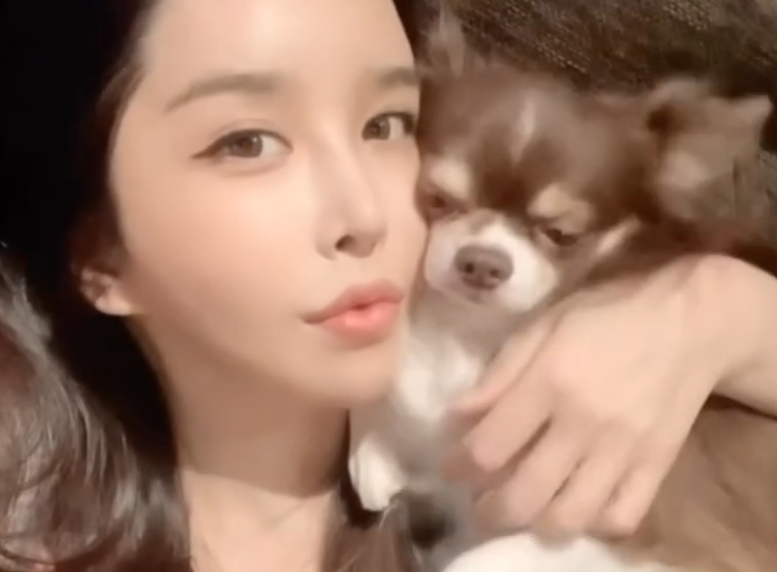하리수 나이 미키정