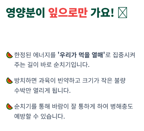 수박 순치기 방법