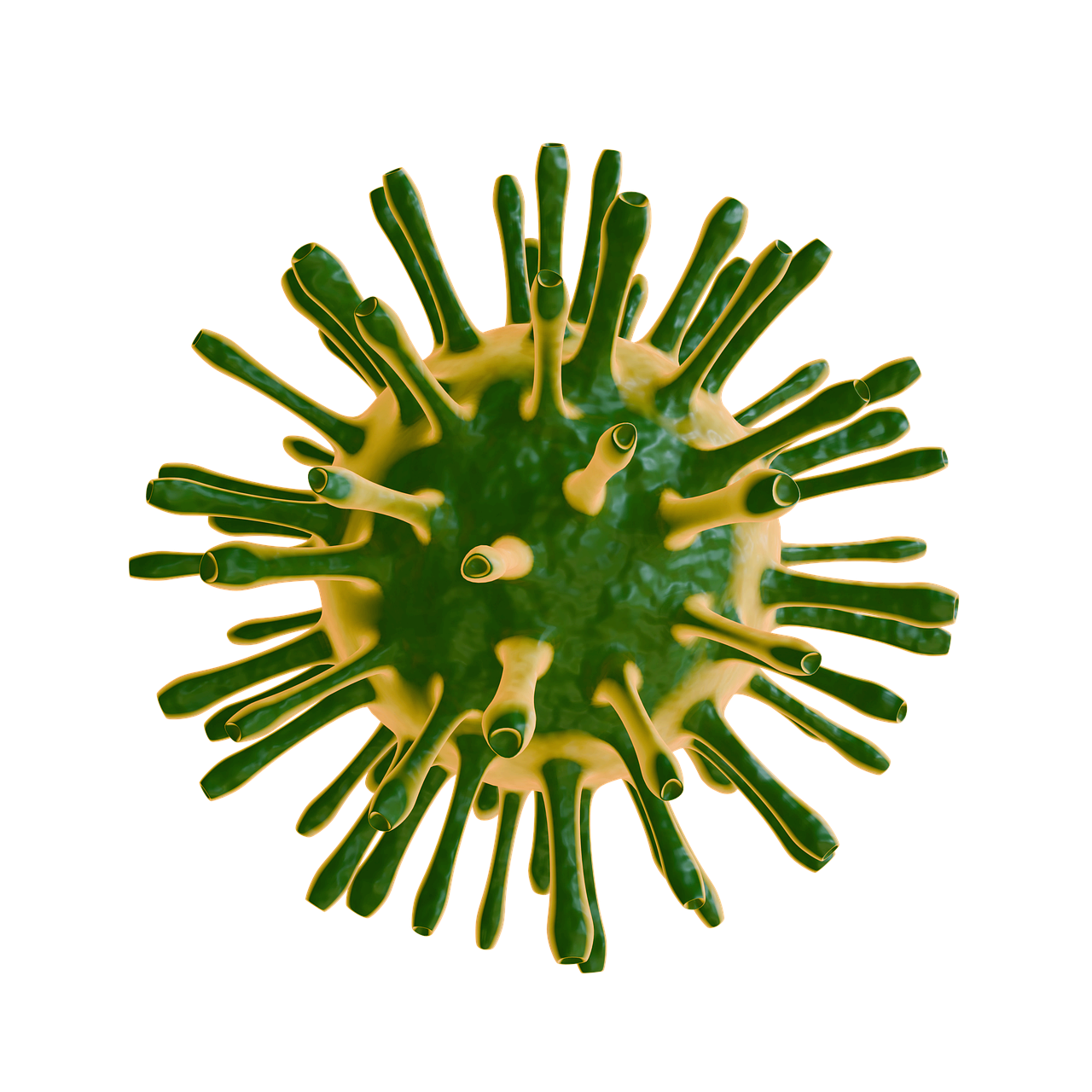 희귀질환 환자를 위한 심리적 지지와 커뮤니티 활동