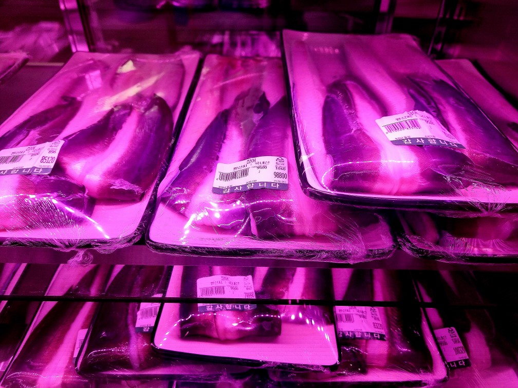 품장 을왕리점: 인천 영종도 가성비 좋은 초대형 장어구이 맛집 