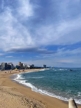 강릉 맛집 추천 여행코스에 포함하기 좋은 식당 리스트_18