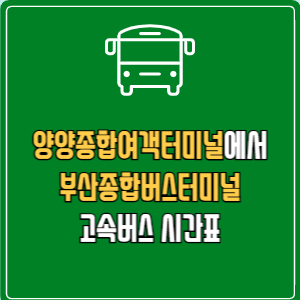 양양종합여객터미널에서 부산종합버스터미널 고속버스 시간표 요금 예매