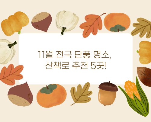 11월 전국 단풍 명소, 산책로 추천 5곳!