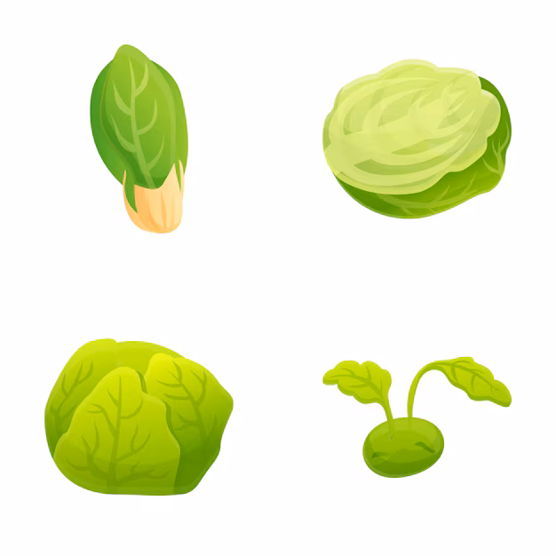 양배추의 효능 4가지와 양배추 영양제 추천