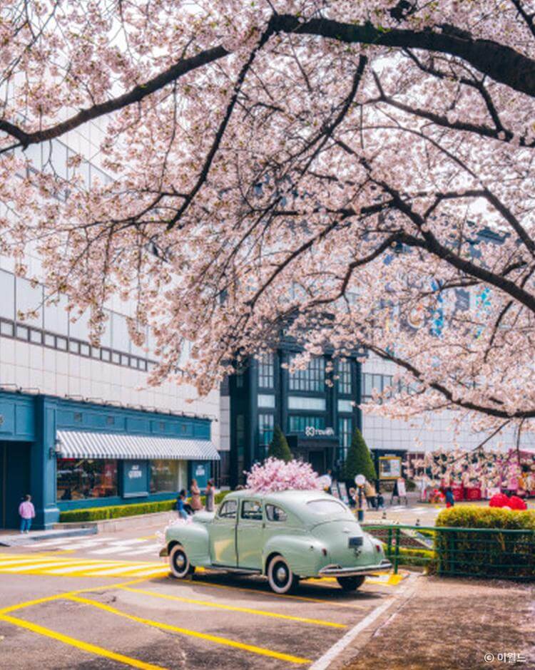 신용사면