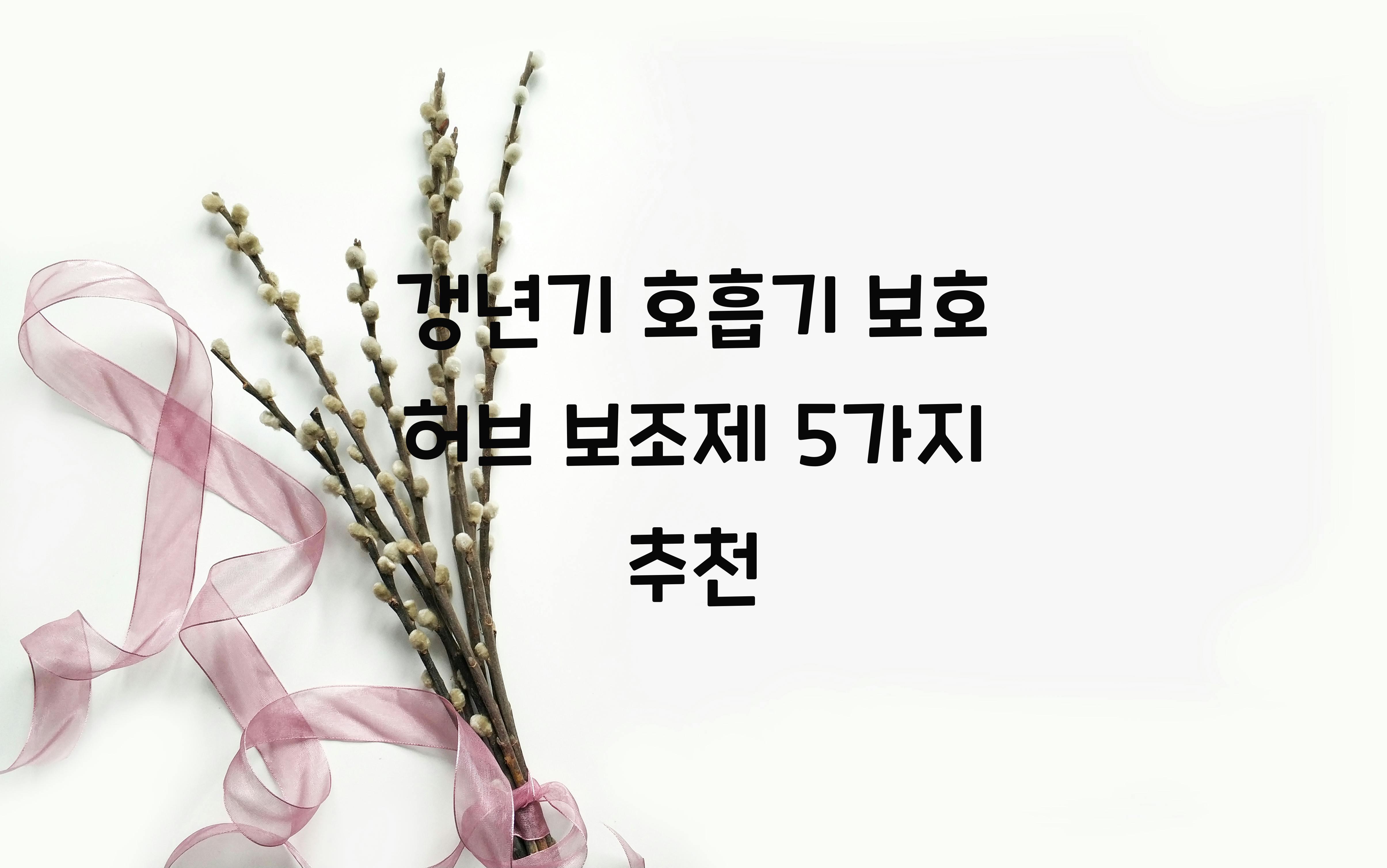 갱년기 호흡기 보호 허브 보조제